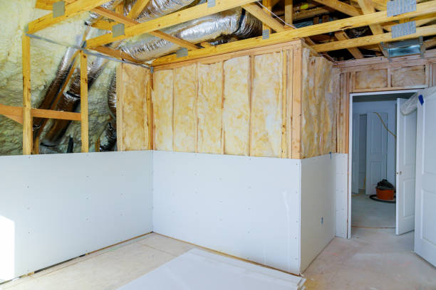 Best Insulation for Specific Applications in Paradise, NV