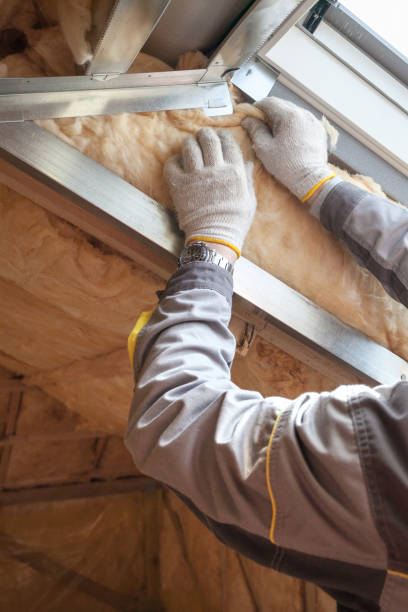 Professional Insulation Contractor in NV